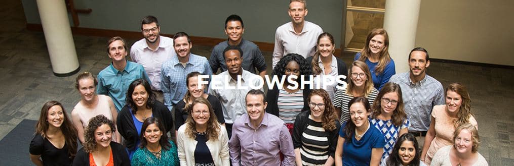 Catholic Relief Services International Development Fellows Programme (IDFP) 2022