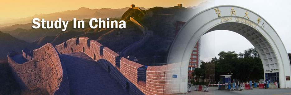 China government scholarship program