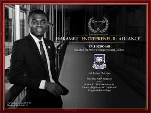 Harambe Entrepreneur Alliance 2024/2025 Scholarships for Young Africans