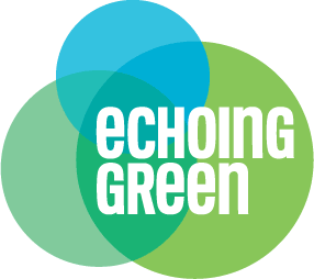 Echoing Green Fellowship 2022 for Social Entrepreneurs ($80,000 + Leadership Development)