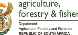 South African Department of Forestry, Fisheries, and the Environment DFFE YES Data Capturing Internship Program 2023