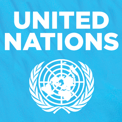 United Nations Internship (Africa Branch) 2022 for Young Leaders