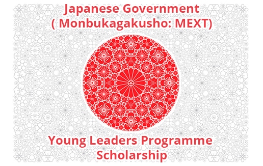 Government of Japan Young Leaders Program in Governance (Fully-funded) 2022