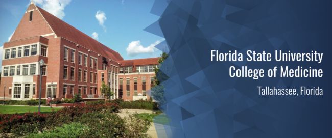 Medical Schools in Florida - A Complete Guide