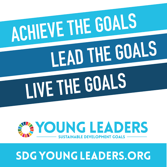UN Young Leaders for the SDGs Program 2022 for Young Leaders