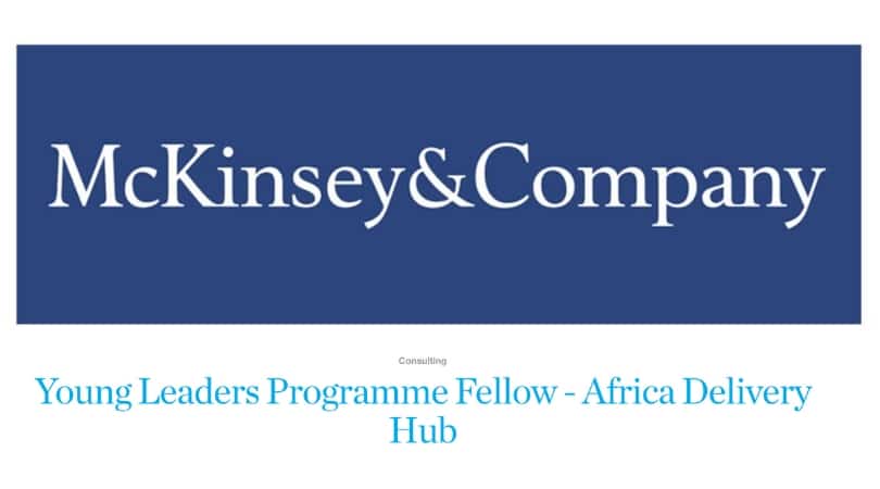 McKinsey&Company Young Leadership Programme 2024 for Young Leaders