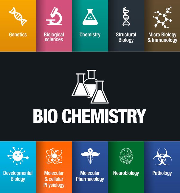 Things You Can Do With a Degree in Biochemistry