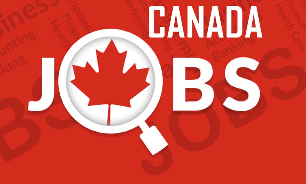 Top 10 Degrees That Guarantee a Job in Canada
