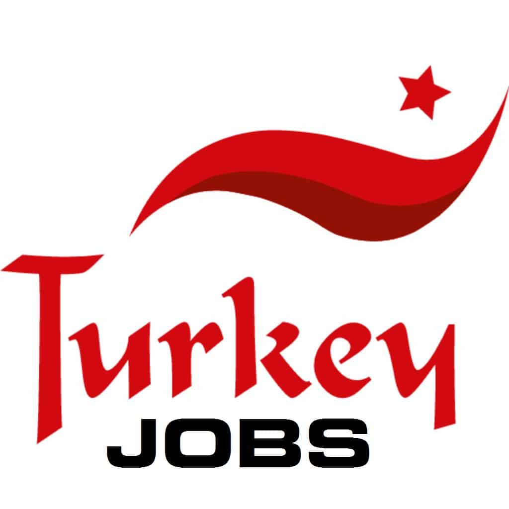Top 10 Degrees that Guarantees a Job in Turkey