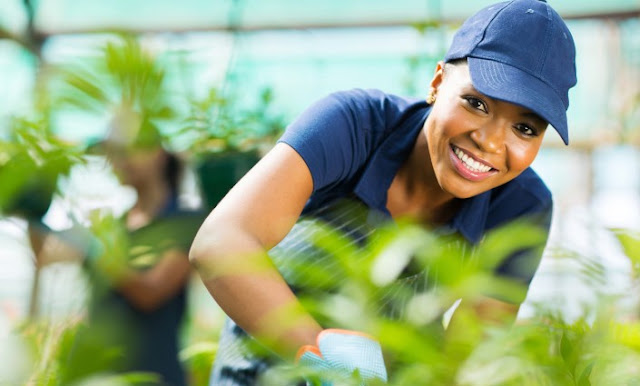 French Embassy Women Agripreneurs Programme 2022 for South African Women