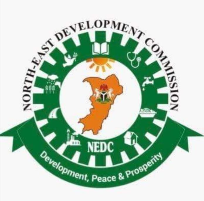 North East Development Commission (NEDC) ICT Training Application 2022 for Nigerians (Batch C)
