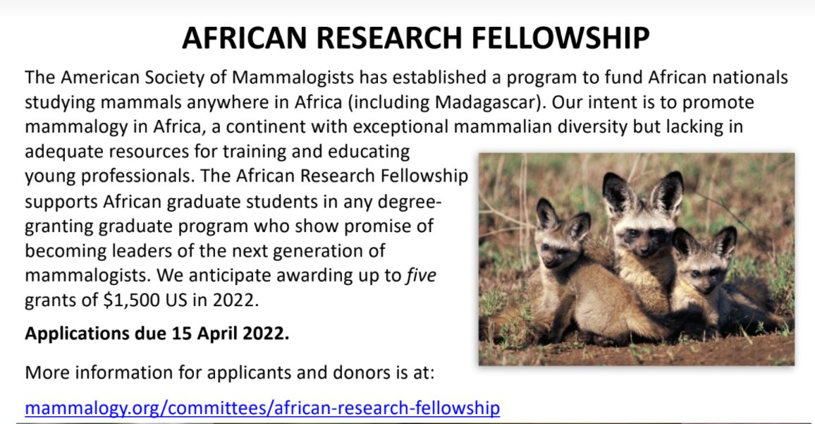 American Society of Mammalogists African Research Fellowship 2022 for African Students
