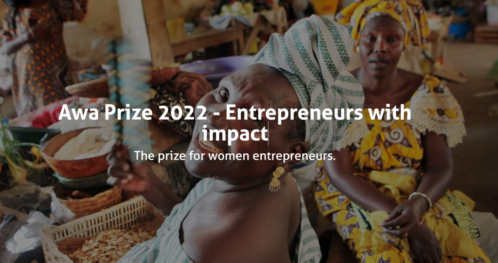 Belgium Government Awa Prize 2023 for  Women Entrepreneurs in Belgian development cooperation countries