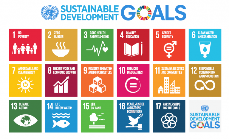 SDG Innovation Challenge 2022 for Young African Leaders