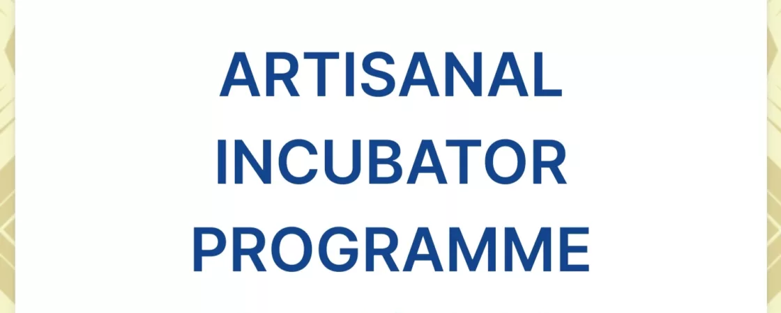 House On Fire Artisanal ITC Incubator Programme 2023/2024 for Eswatini Youths