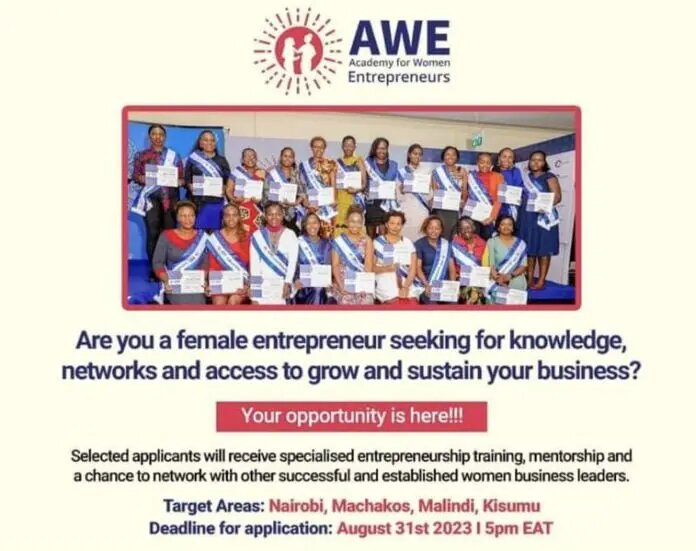 Academy For Women Entrepreneurs AWE Kenya Program (Cohort 5) 2023 For Women Entrepreneurs – Call For Applications