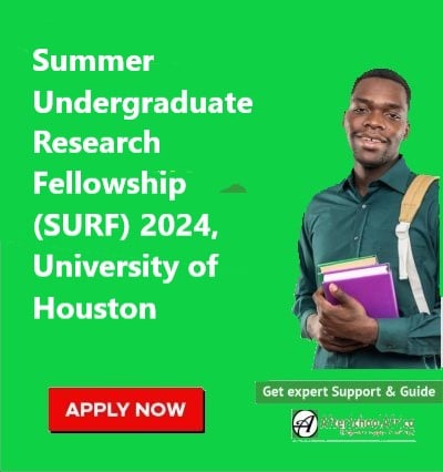 Summer Undergraduate Research Fellowship (SURF) 2024, University of Houston