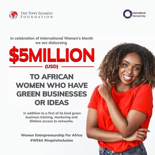 TEF Women Entrepreneurship For Africa (WE4A) Program 2024 for African Women Entrepreneurs
