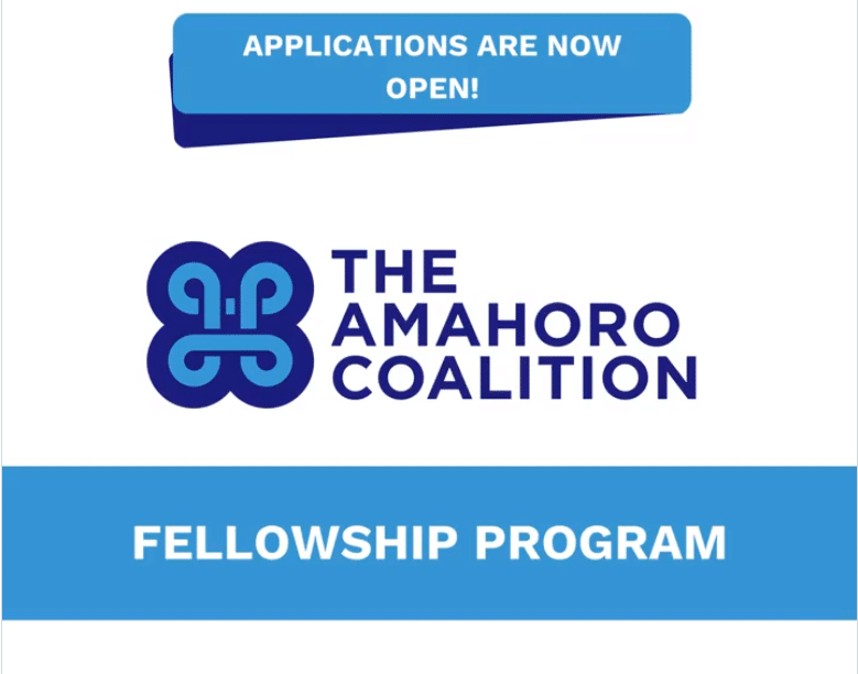 Amahoro Fellowship program 2024 for Young African Leaders