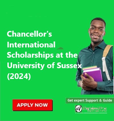 Chancellor's International Scholarships at the University of Sussex (2024)