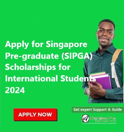 Apply for Singapore Pre-graduate (SIPGA) Scholarships for International Students 2024