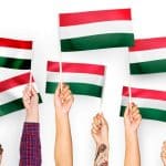How to Study in Hungary Without IELTS in 2024 (Scholarships)